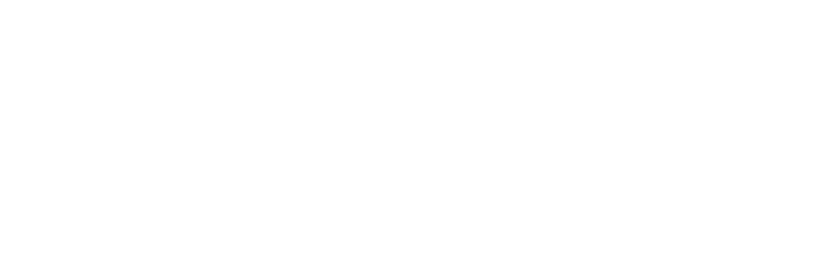 Speed Site